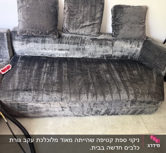 ספה אפורה עם כלי ניקוי מונח עליה